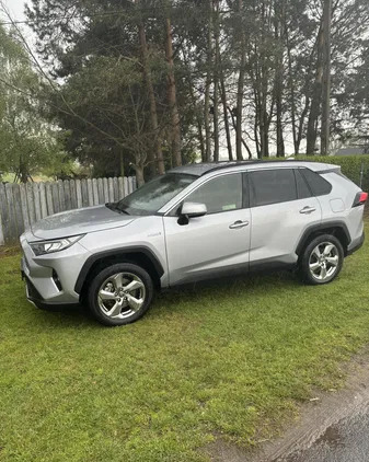 toyota Toyota RAV4 cena 136500 przebieg: 42000, rok produkcji 2020 z Wągrowiec